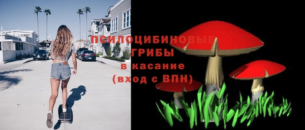 МДПВ Белокуриха